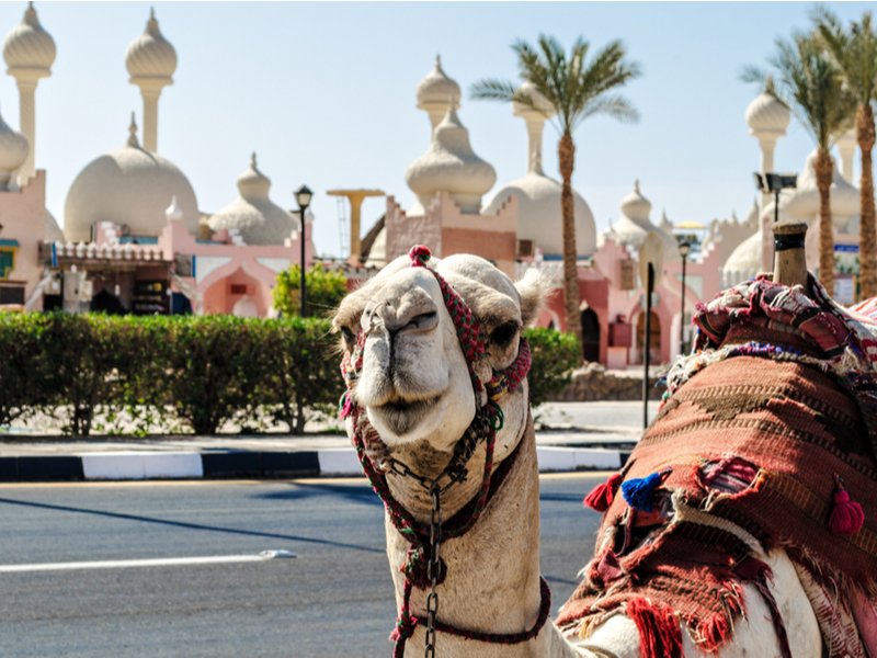 Sharm El Sheikh Turu - AJet ile - 5 Gece 7 Gün - Yılbaşı